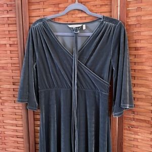 Soft Surroundings Vera Velvet Dress